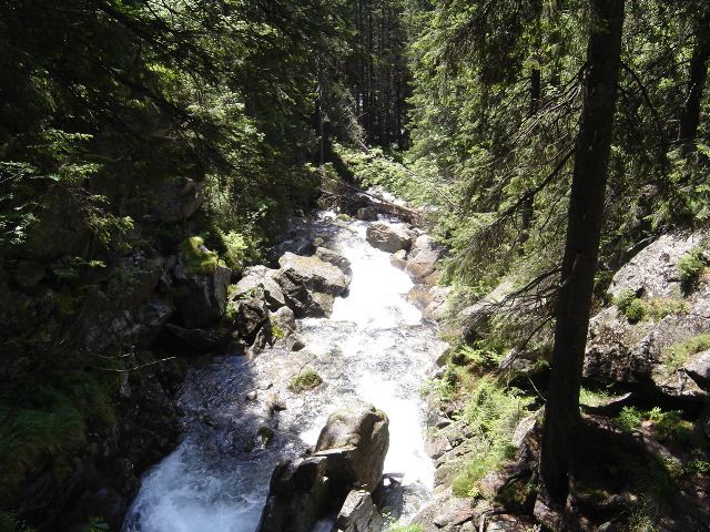 DSC00878.JPG