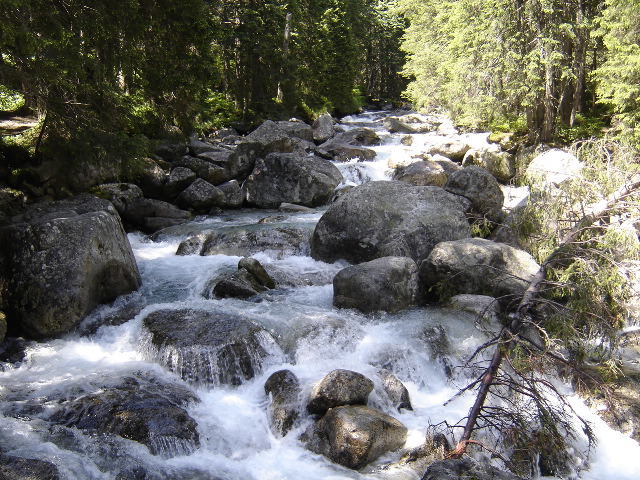 DSC00879.JPG