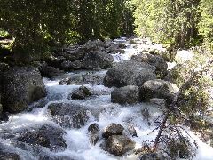 DSC00879.JPG