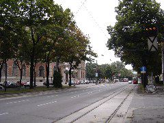 DSC00885.JPG