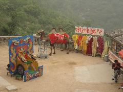 DSC00109.JPG