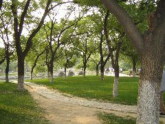 DSC00104.JPG