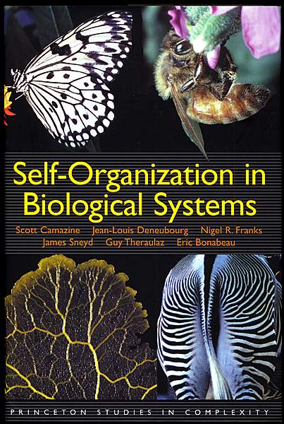 Self-Organisation