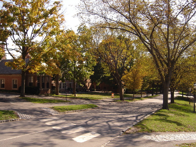DSC01165.JPG