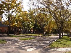 DSC01165.JPG