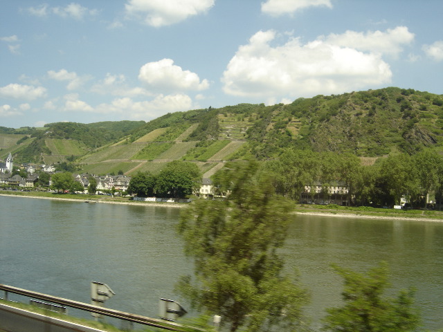 DSC00761