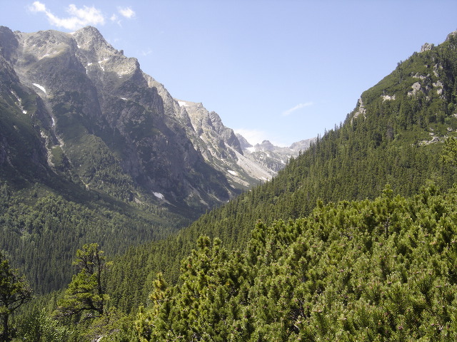 DSC00875.JPG