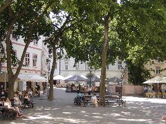 DSC00807.JPG