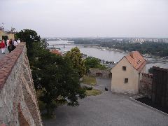 DSC00820.JPG