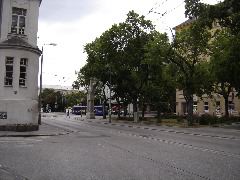 DSC00828.JPG