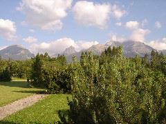 DSC00846.JPG