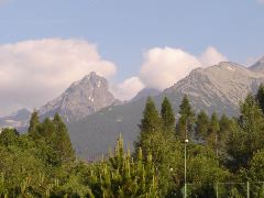 DSC00847.JPG
