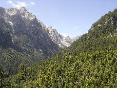 DSC00875.JPG