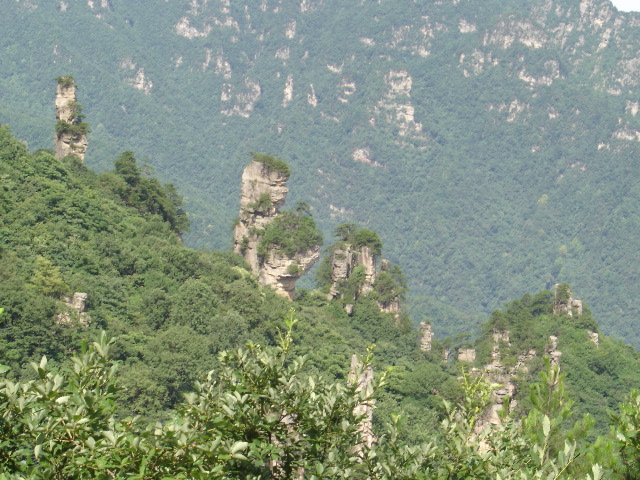 DSC00256.JPG
