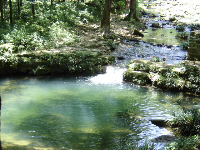 DSC00267.JPG