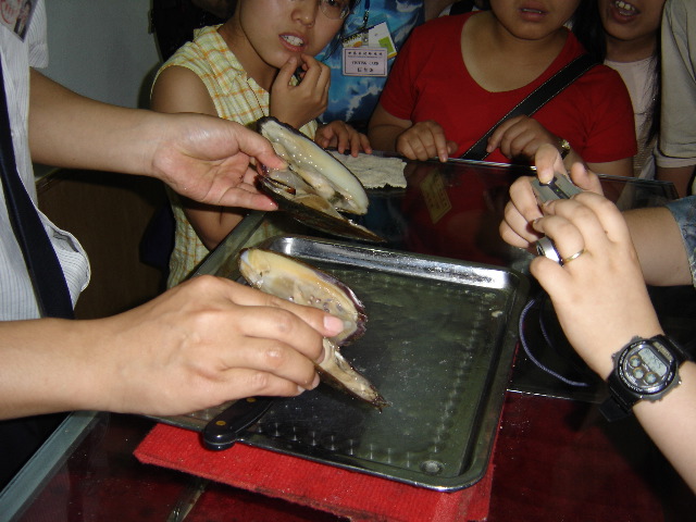 DSC00113.JPG
