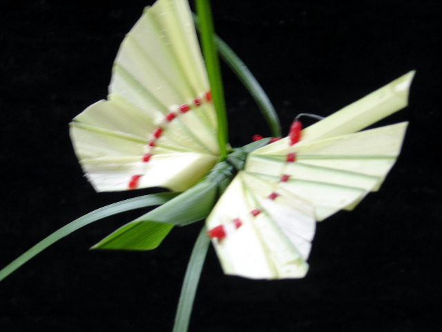 DSC00321.JPG