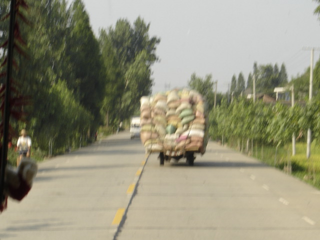 DSC00334.JPG