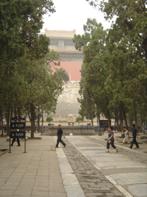 DSC00118.JPG