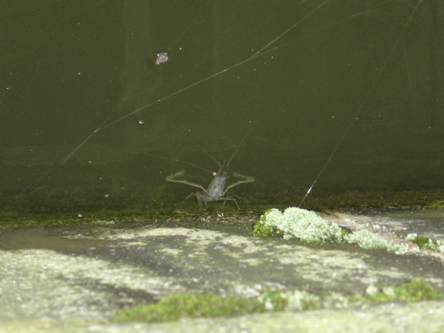 DSC00350.JPG