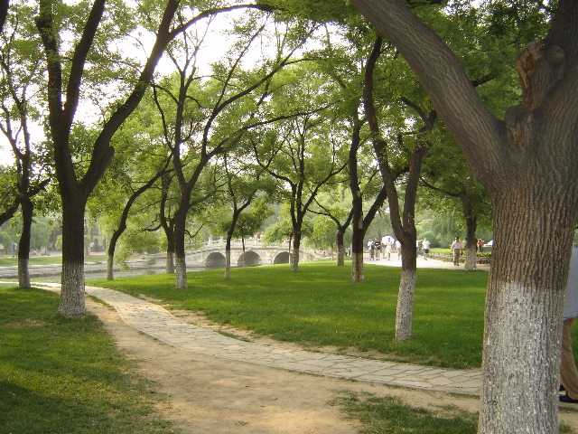 DSC00104.JPG