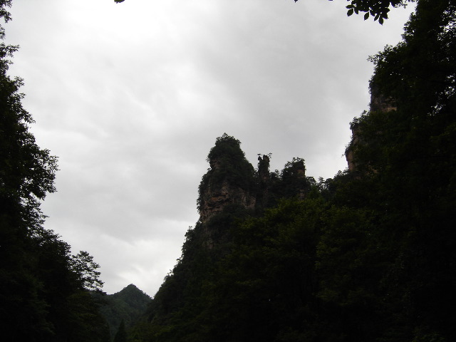 DSC00206.JPG