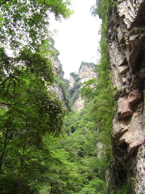 DSC00214.JPG
