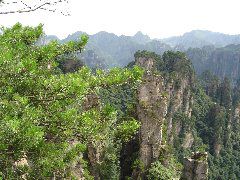 DSC00244.JPG
