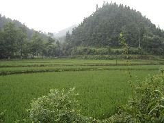 DSC00272.JPG
