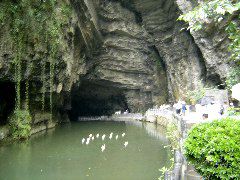 DSC00275.JPG