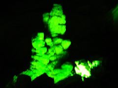 DSC00285.JPG