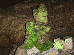 DSC00286.JPG