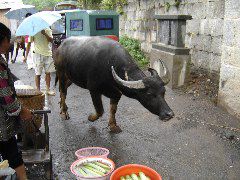DSC00322.JPG