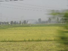 DSC00335.JPG