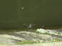 DSC00350.JPG