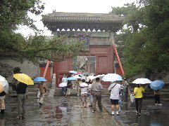 DSC00140.JPG