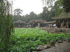 DSC00142.JPG
