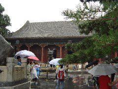 DSC00156.JPG