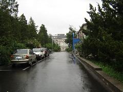 DSC00159.JPG
