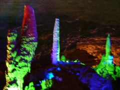 DSC00177.JPG