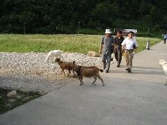 DSC00192.JPG