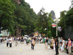 DSC00202.JPG