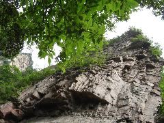 DSC00213.JPG