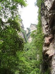 DSC00214.JPG