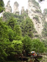 DSC00219.JPG